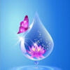 kristinesant534